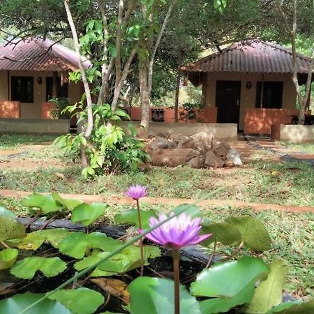 Hotel Niyagala Lodge 시기리야 외부 사진