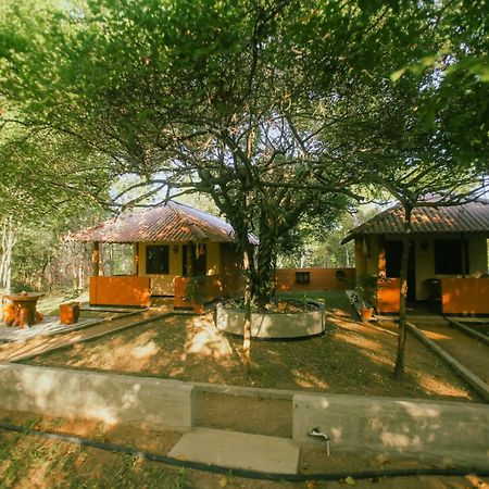 Hotel Niyagala Lodge 시기리야 외부 사진