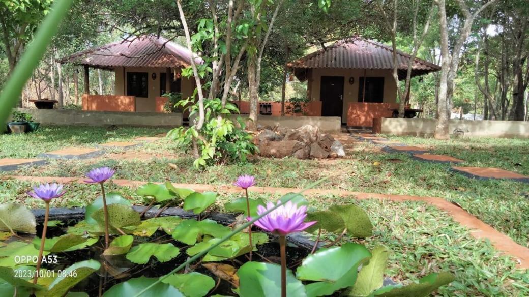 Hotel Niyagala Lodge 시기리야 외부 사진