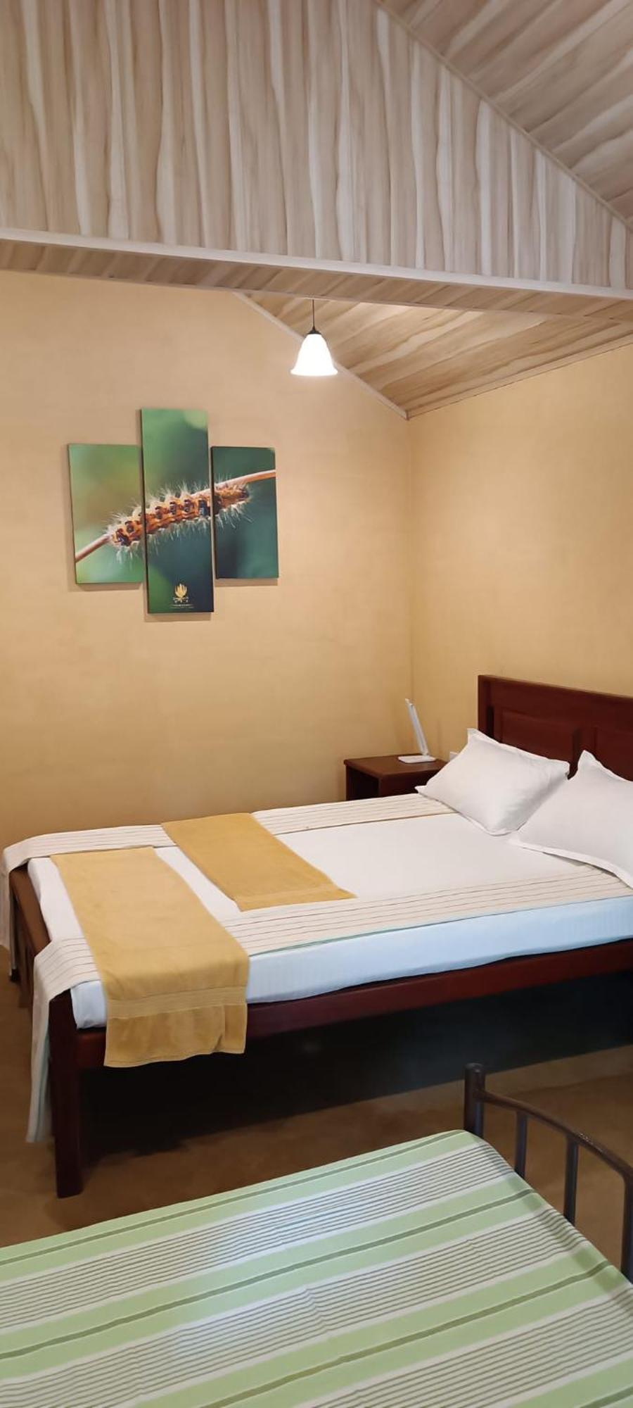 Hotel Niyagala Lodge 시기리야 외부 사진