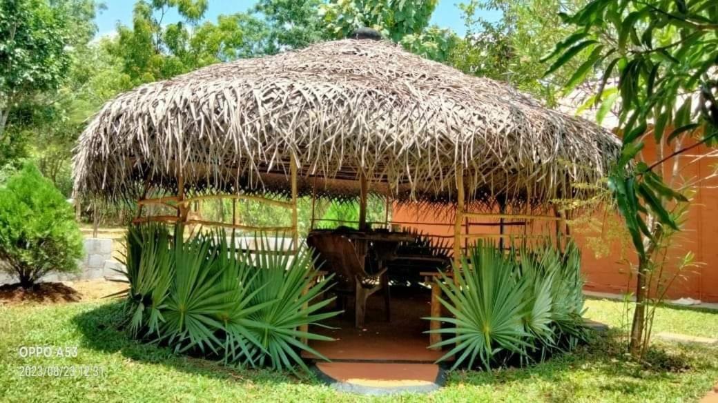 Hotel Niyagala Lodge 시기리야 외부 사진