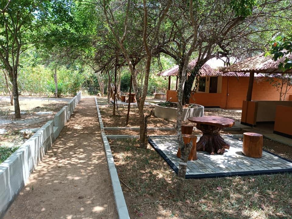 Hotel Niyagala Lodge 시기리야 외부 사진