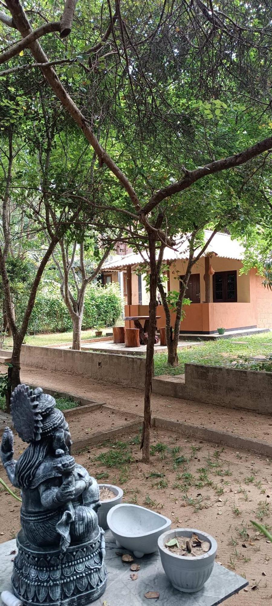 Hotel Niyagala Lodge 시기리야 외부 사진