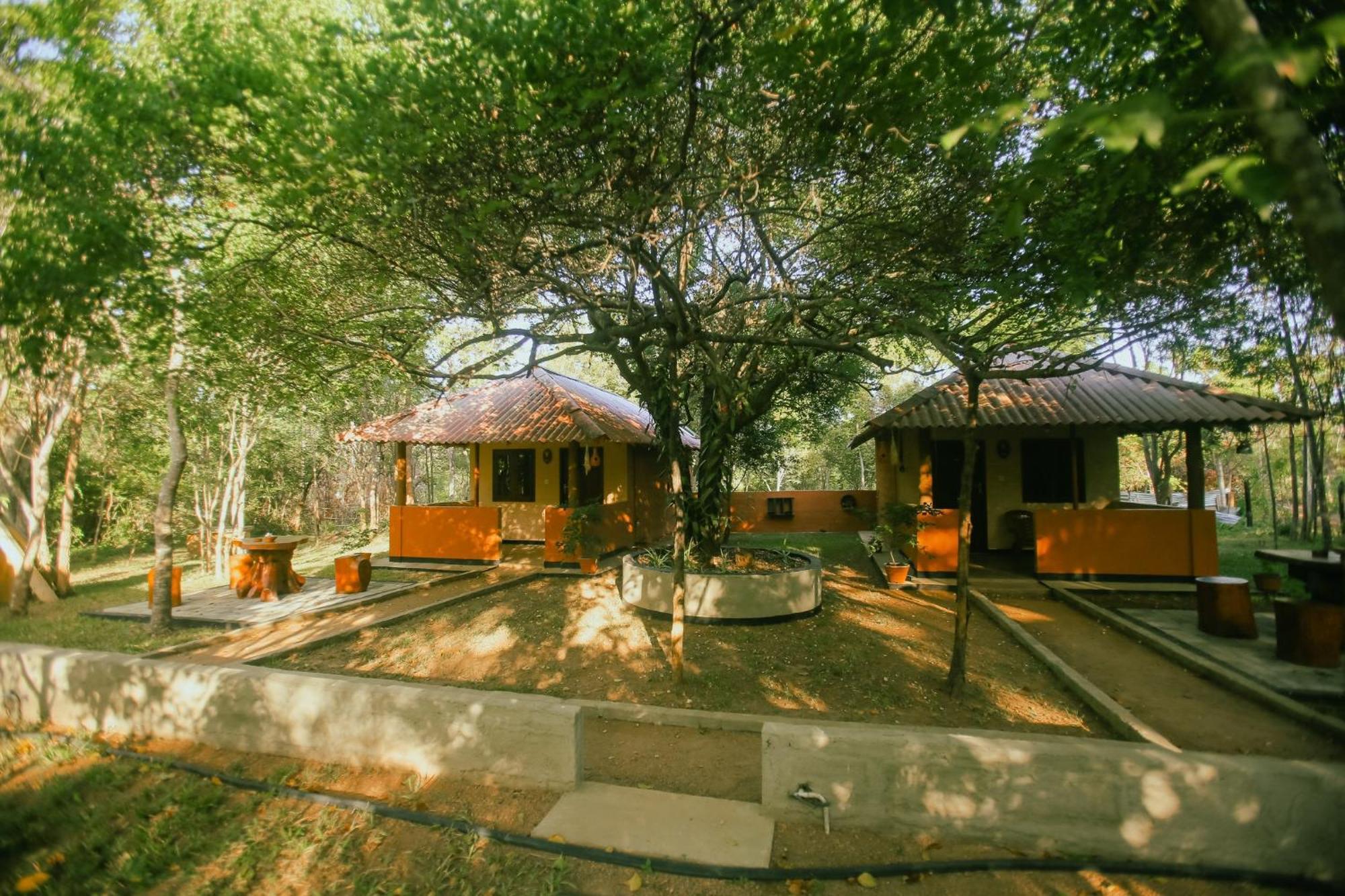 Hotel Niyagala Lodge 시기리야 외부 사진