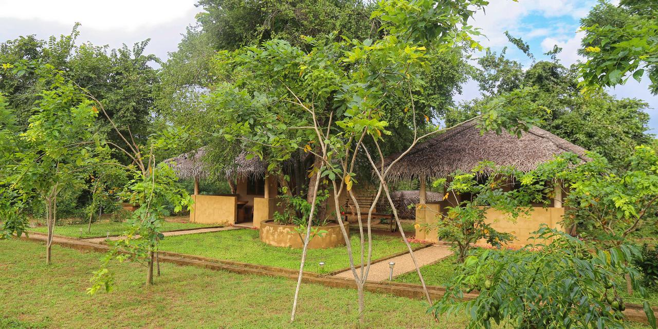 Hotel Niyagala Lodge 시기리야 외부 사진