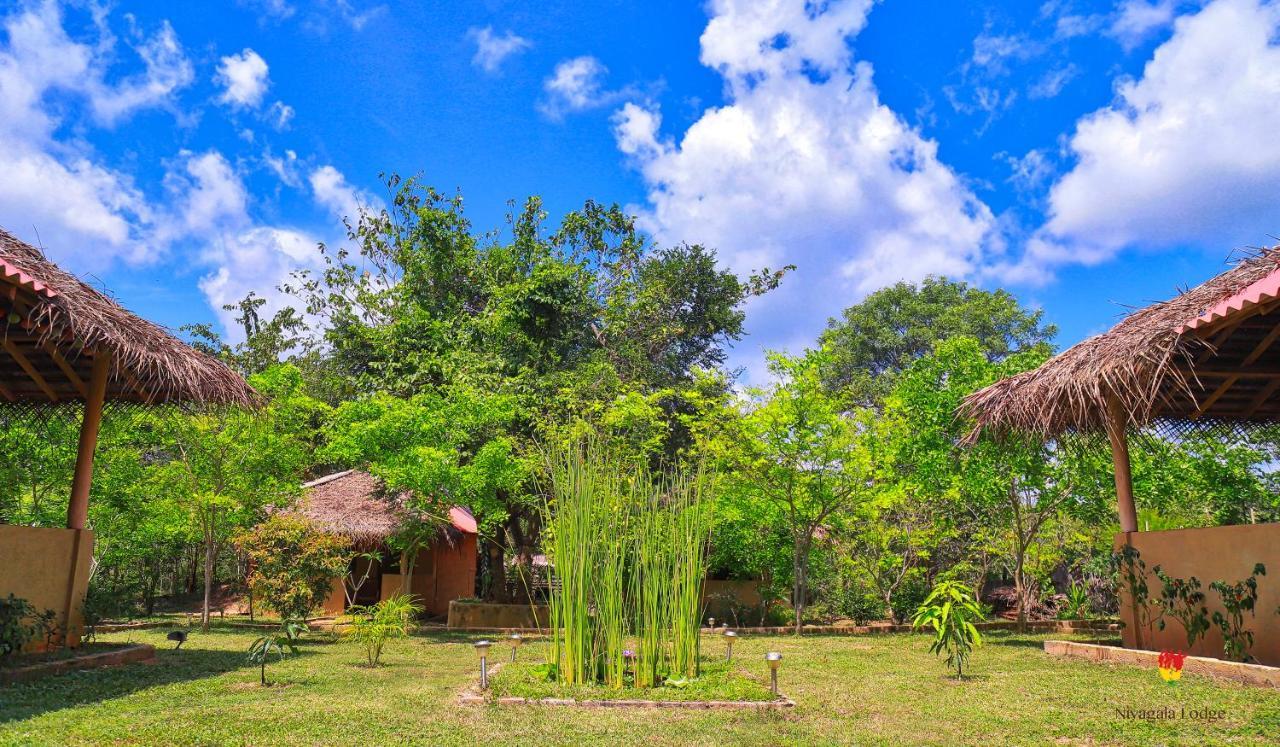 Hotel Niyagala Lodge 시기리야 외부 사진