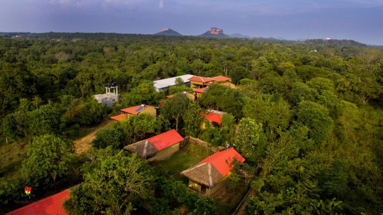 Hotel Niyagala Lodge 시기리야 외부 사진