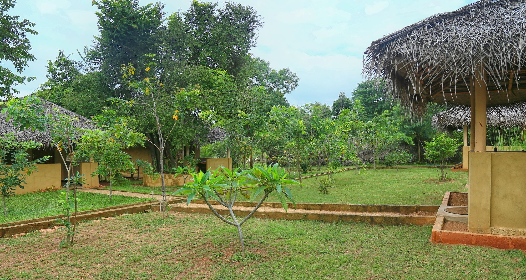 Hotel Niyagala Lodge 시기리야 외부 사진